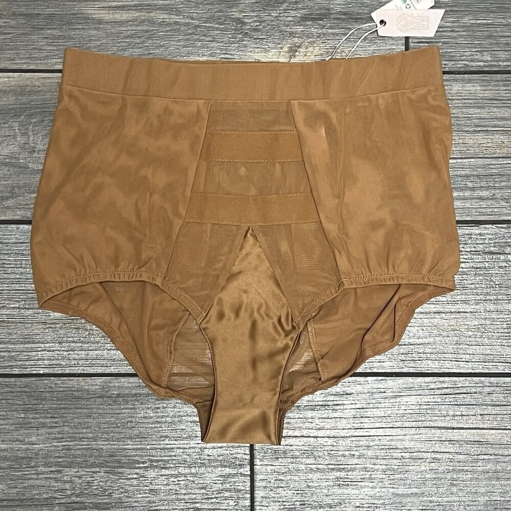 NWT $48 HAH X Free People Hi Waisted Panty Size Small Brown Sugar Sheer Pin Up - Picture 3 of 10
